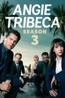 Poster for season 3 of Энджи Трайбека