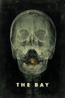 Poster for Залив