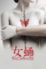 Poster for Куколка