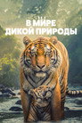 Poster for season 1 of В мире дикой природы
