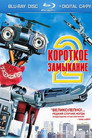 Poster for Short Circuit 2