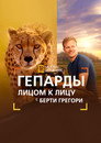 Poster for Гепарды: лицом к лицу с Берти Грегори