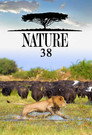 Poster for season 38 of Природа