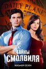 Poster for season 8 of Тайны Смолвиля