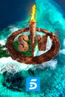 Poster for season 17 of Выжившие