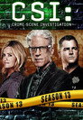 Poster for season 13 of C.S.I. Место преступления