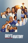 Poster for season 20 of Анатомия страсти