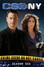Poster for season 6 of CSI: Место преступления Нью-Йорк