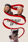 Poster for The Friend