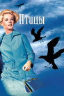 Poster for The Birds