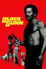 Poster for Black Gunn