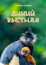 Poster for Дикий Вьетнам