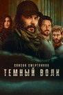 Poster for season 1 of Список смертников: Тёмный волк