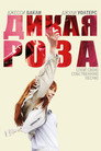 Poster for Дикая Роза