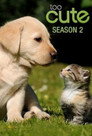 Poster for season 2 of Симпатичные котята и щенки
