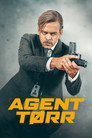 Poster for season 1 of Агент Драй