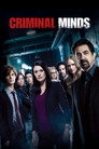 Poster for season 13 of Мыслить как преступник