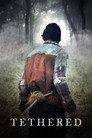 Poster for Привязанный
