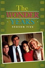 Poster for season 5 of Чудесные годы