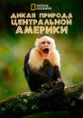Poster for Дикая природа Центральной Америки