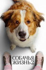 Poster for Собачья жизнь 2