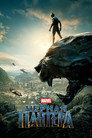 Poster for Black Panther
