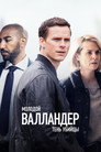 Poster for Young Wallander