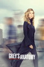 Poster for season 16 of Анатомия страсти