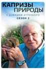 Poster for season 2 of Капризы природы с Дэвидом Аттенборо