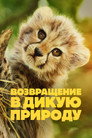 Poster for season 1 of Рожденный быть диким