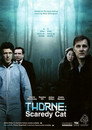 Poster for Торн: Пуганая ворона