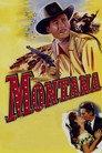 Poster for Монтана