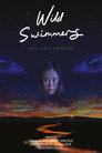 Poster for Wild Swimmers