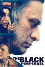 Poster for Черная гвоздика