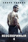 Poster for Boyka: Undisputed IV