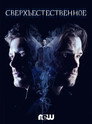 Poster for season 14 of Сверхъестественное