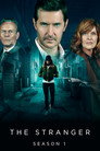 Poster for season 1 of Незнакомка
