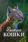 Poster for Lynx