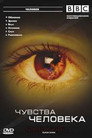 Poster for season 1 of Чувства человека