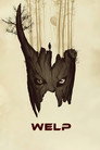 Poster for Cub