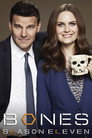 Poster for season 11 of Кости