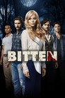 Poster for season 1 of Укушенная