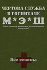 Poster for Чёртова служба в госпитале МЭШ