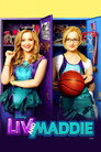 Poster for season 1 of Лив и Мэдди