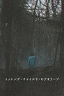 Poster for Видеозапись исчезновения ребёнка