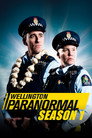 Poster for season 1 of Паранормальный Веллингтон