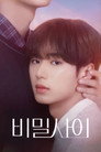 Poster for season 1 of Тайные отношения
