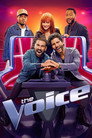 Poster for season 25 of Голос Америки