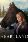 Poster for season 14 of Хартленд