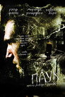 Poster for Spider